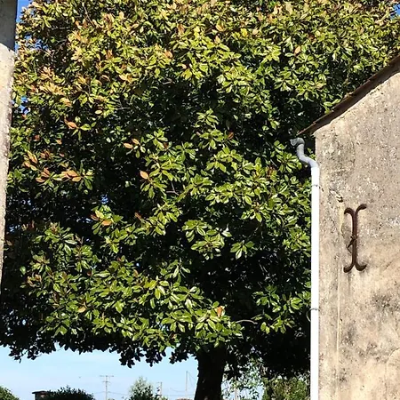 Les Deux Magnolias Holiday home
